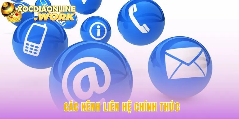 Các kênh liên hệ đa dạng đảm bảo hỗ trợ hiệu quả mọi yêu cầu