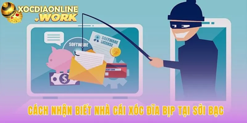 Cách nhận biết nhà cái xóc đĩa bịp qua hành vi bất thường