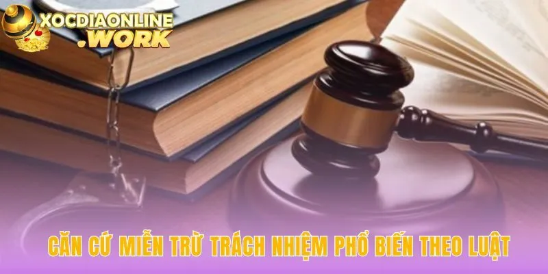 Căn cứ miễn trừ trách nhiệm dựa trên nguyên tắc pháp lý chung