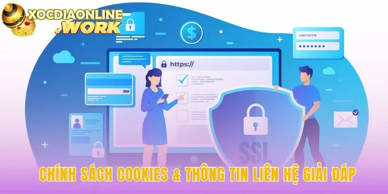 Chính sách cookies cải thiện trải nghiệm và hỗ trợ người dùng
