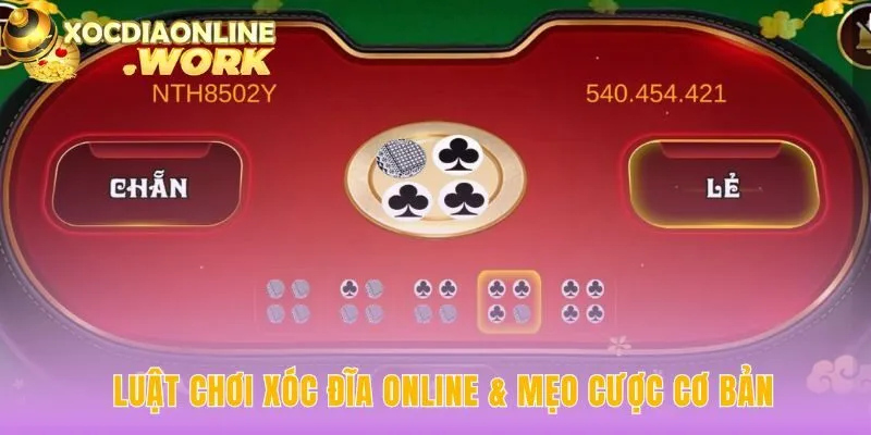 App xóc đĩa online và chiến thuật quản lý vốn thông minh