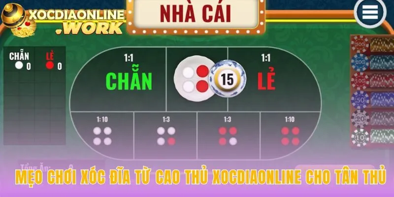 Tổng hợp các mẹo chơi từ cao thủ giúp hạn chế thua lỗ